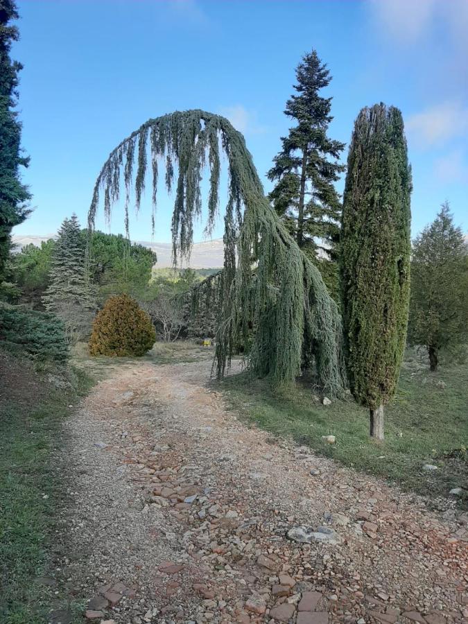 Domaine De La Xavoliere Hotel Saint-Cézaire-sur-Siagne Kültér fotó