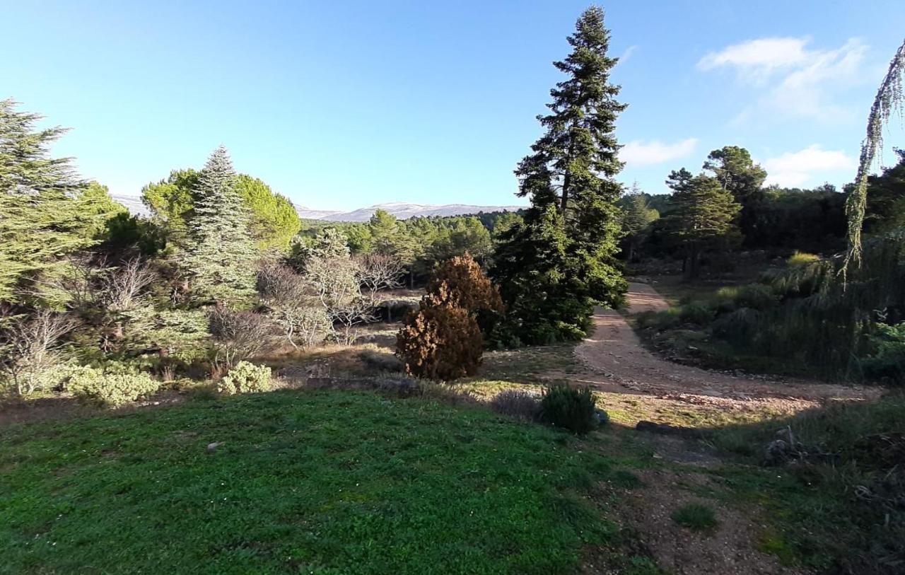 Domaine De La Xavoliere Hotel Saint-Cézaire-sur-Siagne Kültér fotó