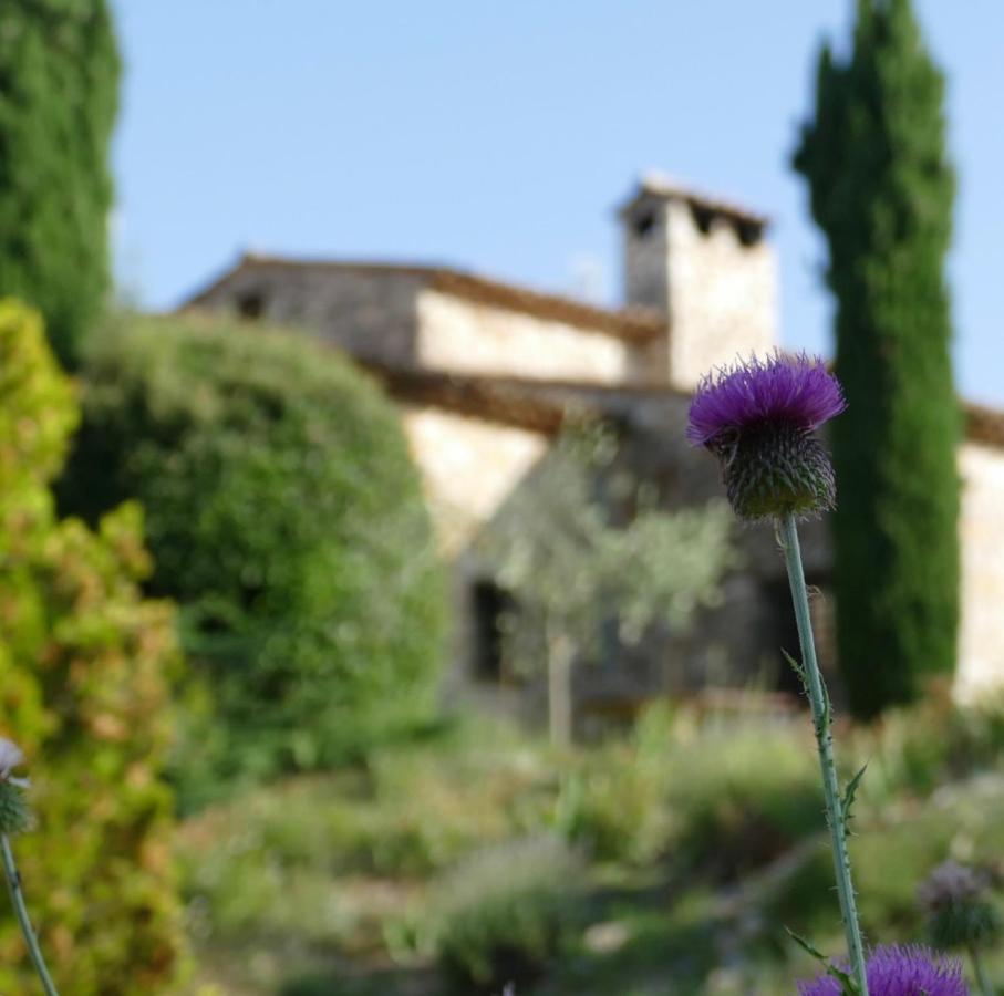 Domaine De La Xavoliere Hotel Saint-Cézaire-sur-Siagne Kültér fotó