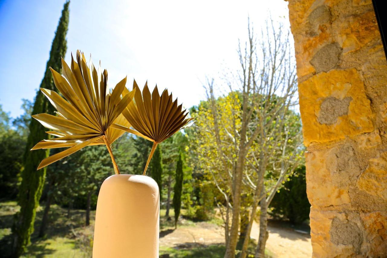 Domaine De La Xavoliere Hotel Saint-Cézaire-sur-Siagne Kültér fotó